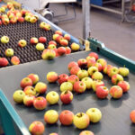 Understanding and Selecting Self-Cleaning Magnetic Separators