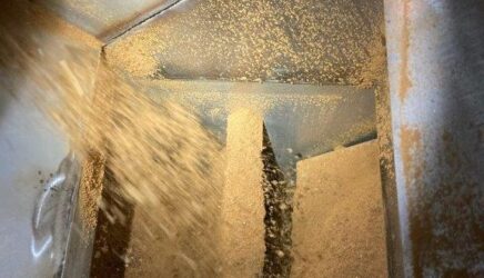 Improved quality of rendered meat and bone meal