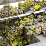 Improved quality of wine processing