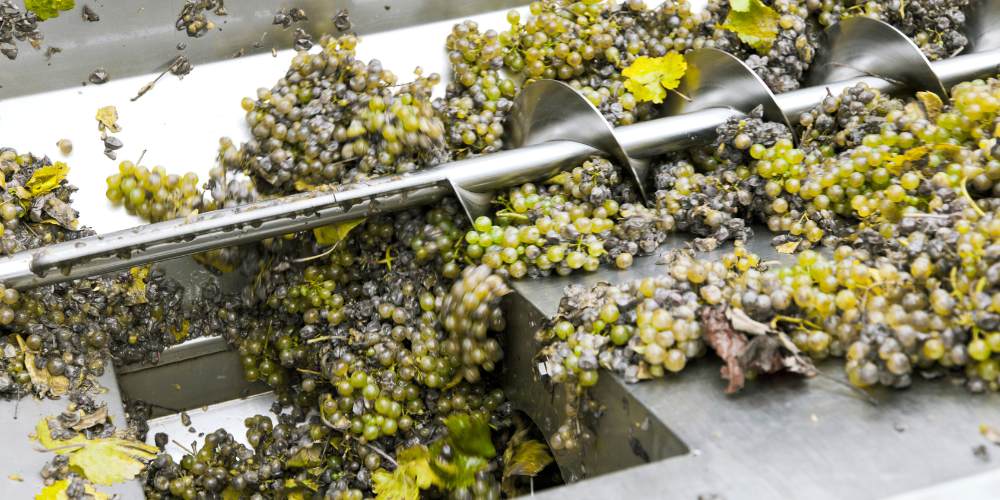 Improved quality of wine processing