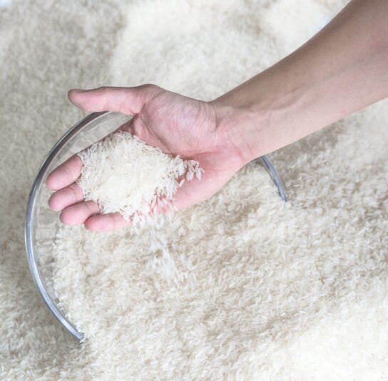 Magnets for Grain, seeds, and milling