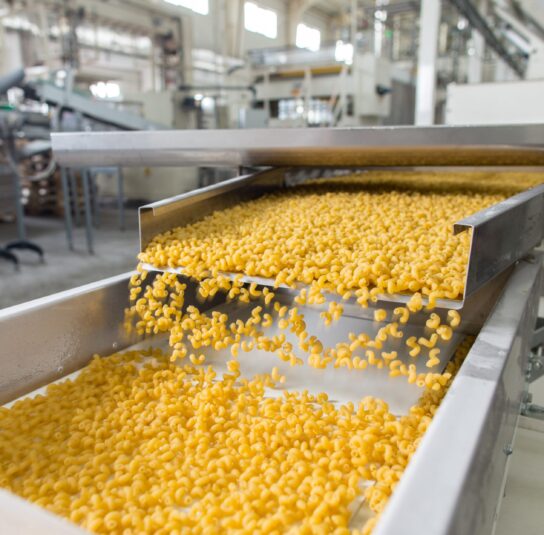 Magnets for food processing