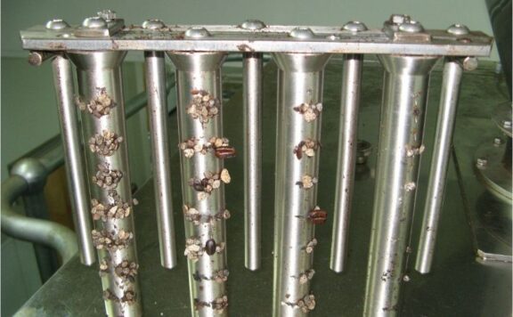 magnetic grate with magnetic fragments