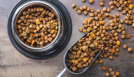 pet food manufacturing regulations