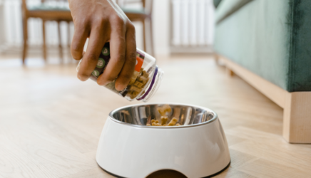 pet food