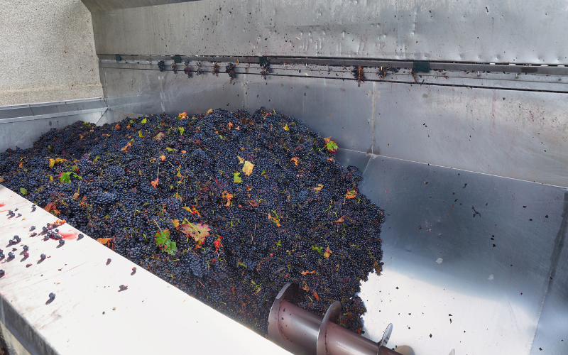 magnetic separation for wineries and breweries