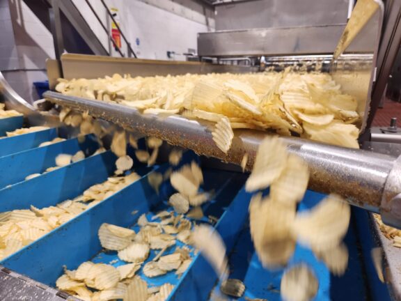 Separation Shaft in Snack Process