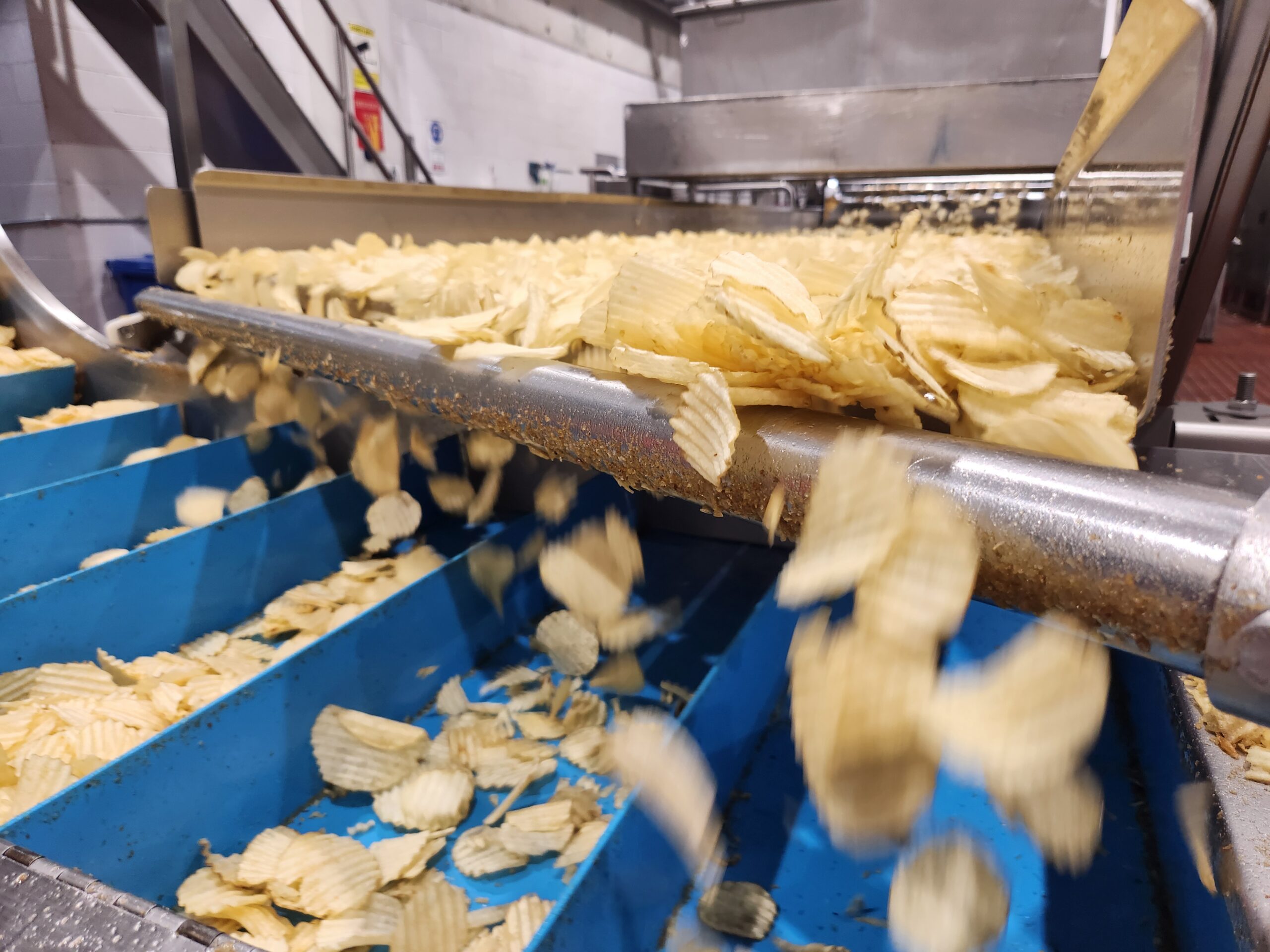 Separation Shaft in Snack Process